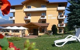 Hotel & Appartamenti Al Larice